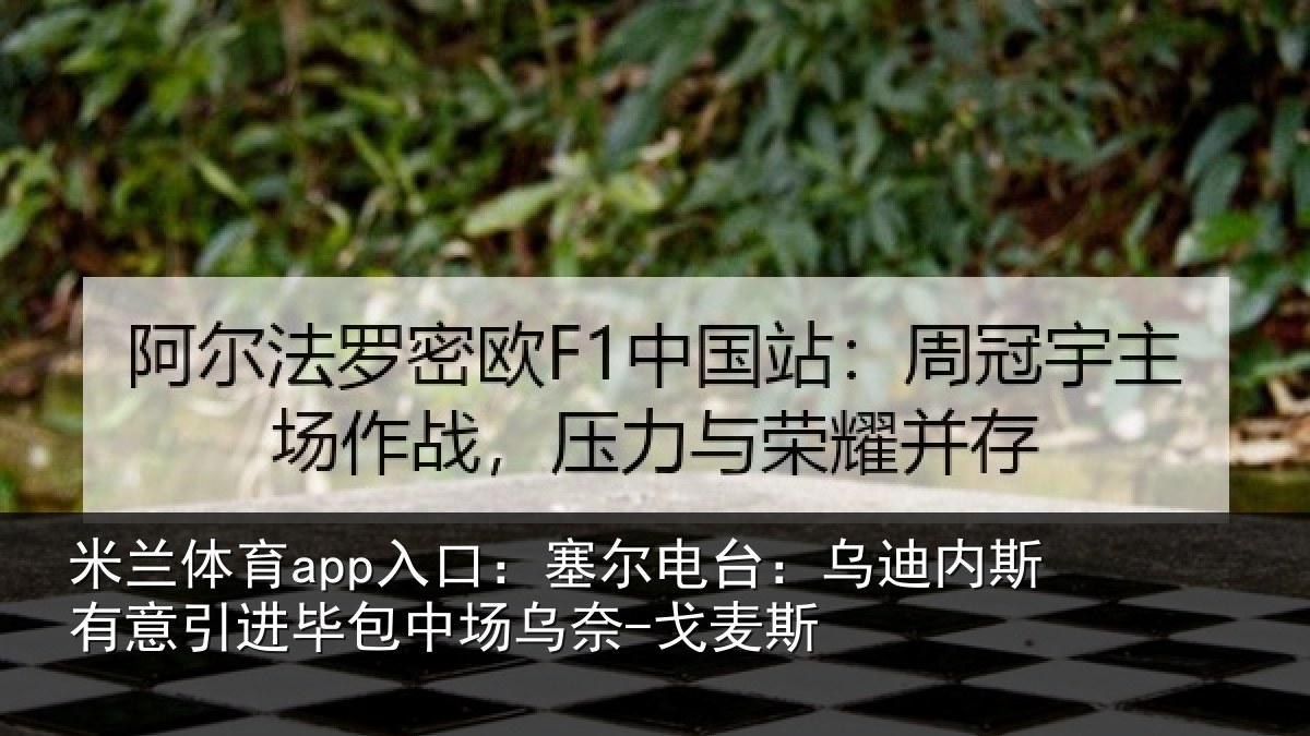米兰体育app入口：塞尔相关情况引进相关情况斯