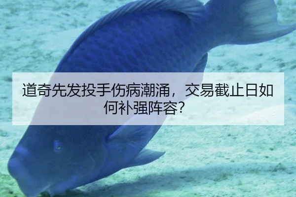dao-qi-xian-fa-tou-shou-shang-bing-chao-yong-jiao-yi-jie-zhi-ri-ru-he-bu-qiang-zhen-rong-2-788.jpg
