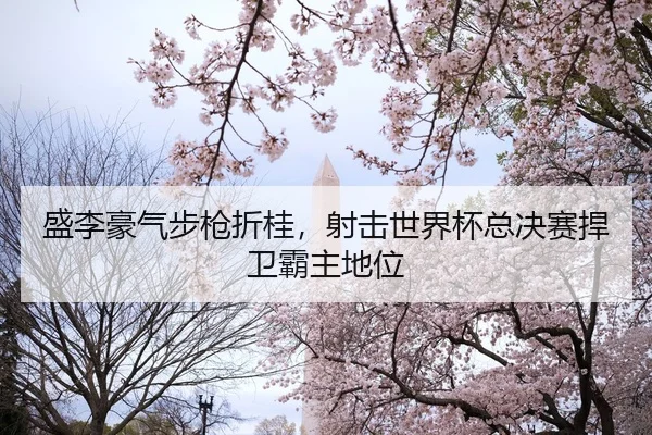 sheng-li-hao-qi-bu-qiang-zhe-gui-she-ji-shi-jie-bei-zong-jue-sai-han-wei-ba-zhu-di-wei-2-995.jpg