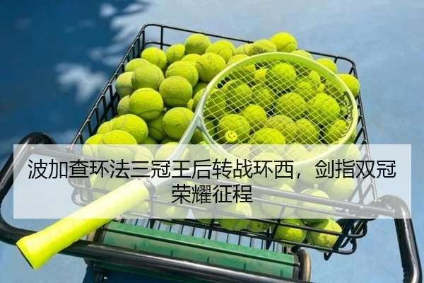 bo-jia-cha-huan-fa-san-guan-wang-hou-zhuan-zhan-huan-xi-jian-zhi-shuang-guan-rong-yao-zheng-cheng-2-561.jpg