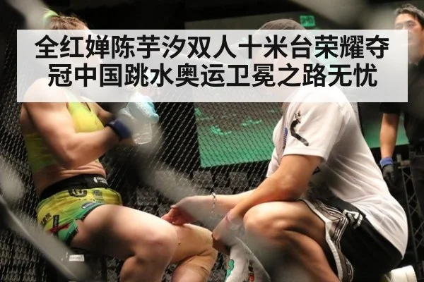 全红婵陈芋汐双人十米台荣耀夺冠中国跳水奥运卫冕之路无忧