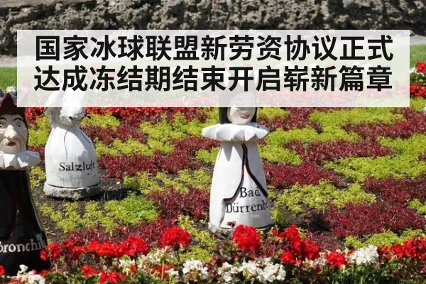 国家冰球联盟新劳资协议正式达成冻结期结束开启崭新篇章